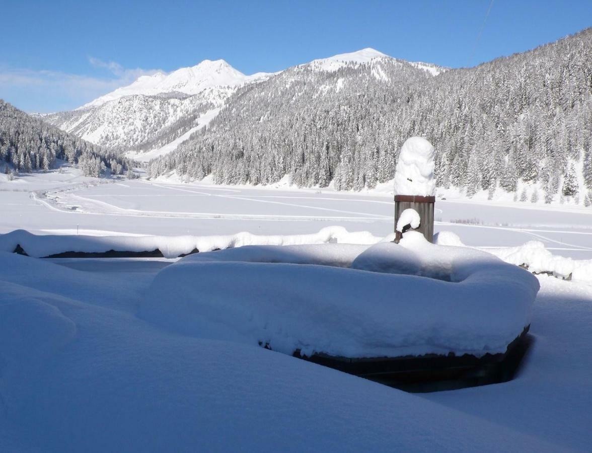 Apartment Daint Chasa Zanoli Whg Im Zweiten Stock Fuldera