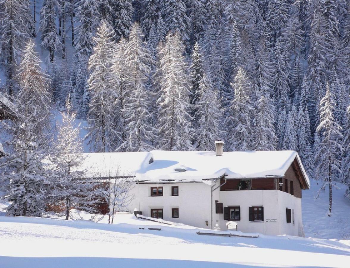 Apartment Daint Chasa Zanoli Whg Im Zweiten Stock