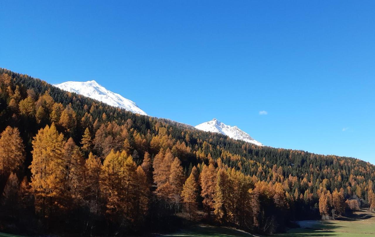 D'aint Chasa Zanoli Whg Im Zweiten Stock * Fuldera